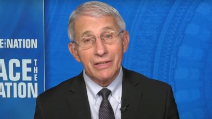 Anthony Fauci on Face the Nation