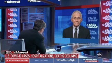 George Stephanopoulos interviews Anthony Fauci