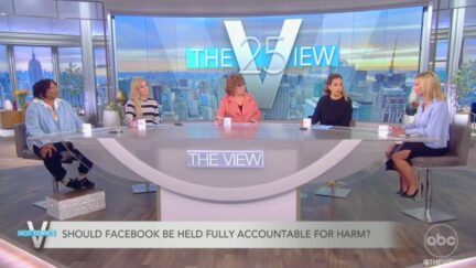 The View Slams Facebook, Mark Zuckerberg