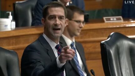 Sen. Tom Cotton (R-AR) slams AG Merrick Garland during Senate Judiciary hearing on Oct. 27