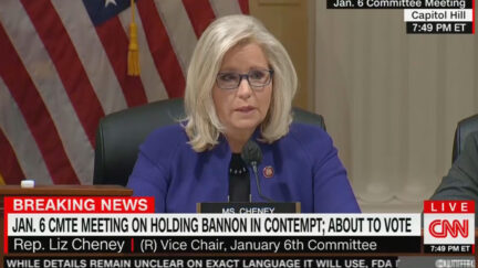 Liz Cheney Calls Out GOP Colleagues Ahead of Bannon Contempt Vote