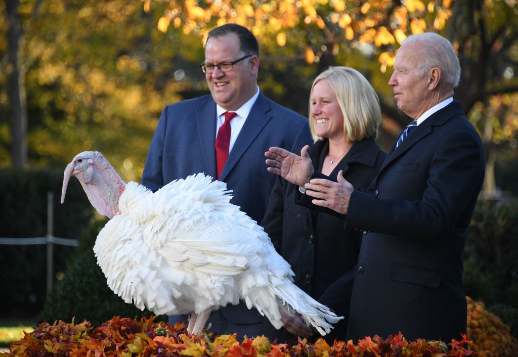 President Joe Biden pardons turkey