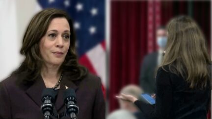 VP Kamala Harris Sarah Kolinovsky split image blur