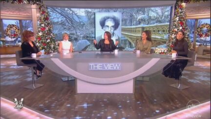 The View Debates if Larry David is a 'Sex Symbol'