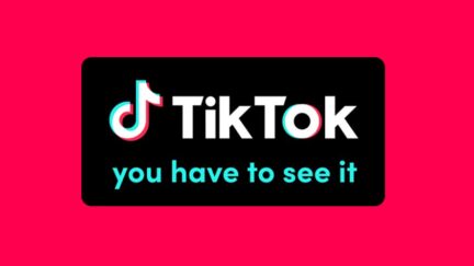 TikTok Twitter Banner