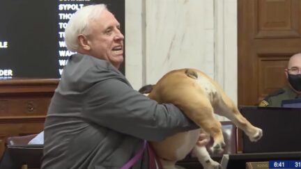 Governor of West Virginia Jim Justice Tells Critics to Kiss His Dog's 'Hiney' During State of the State Address