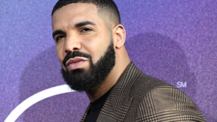 Drake at LA Premiere Of HBO's 