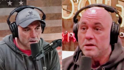 Joe Rogan Joe Rogan split image