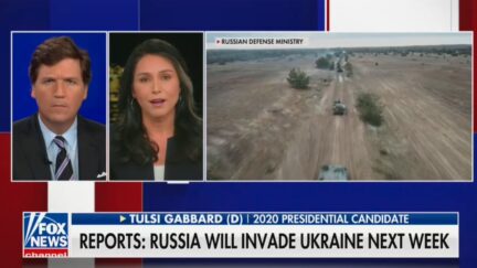 Tulsi Gabbard talking about Ukraine