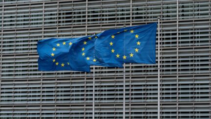 EU flags