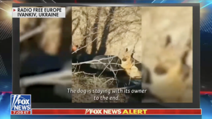 Russian Troops Open Fire on Father and Son as Dog Whimpers