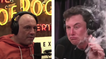 Joe Rogan Elon Musk