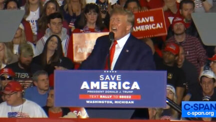 Donald Trump Rages at Michigan Rally