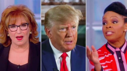 The View's Joy Behar Bristles at Amber Ruffin's Take on Trump Returning to Twitter
