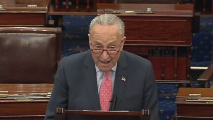 Chuck Schumer Torches Fox News and 'MAGA Republicans' Over Racist Replacement Theory in Blistering Speech on Senate Floor