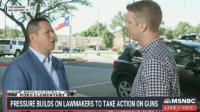 GOP Rep. Ducks 3 Times When Asked About Age to Buy AR-15s
