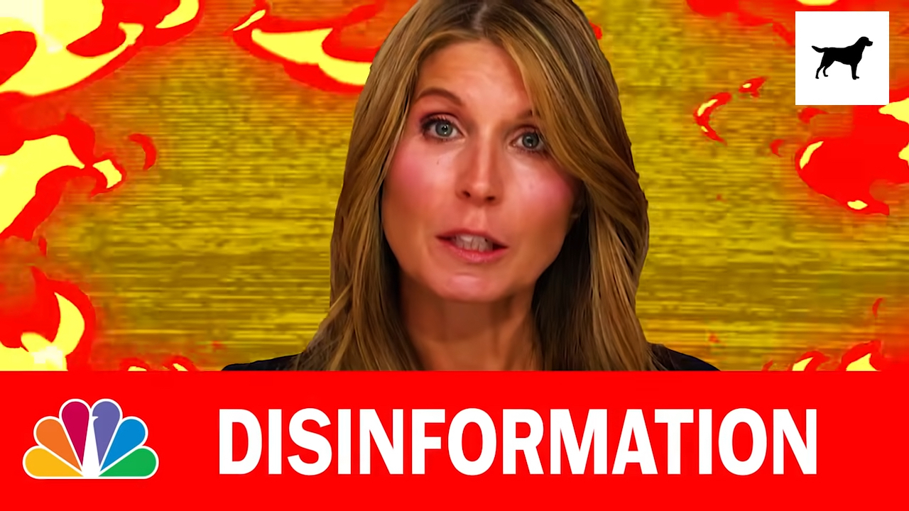Glenn Greenwald Calls Nicolle Wallace 'Typhoid Mary of Disinformation'