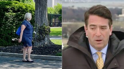 Biden White House Staffers Roast Newsmax's James Rosen on Twitter Over Photo of Senior Adviser Anita Dunn
