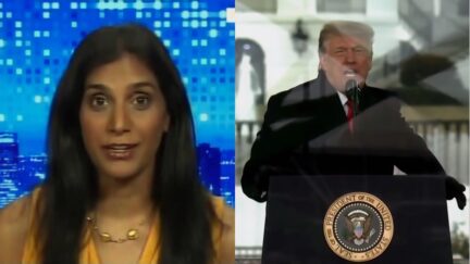 CNN's Asha Rangappa Says Trump Can Be Charged with 'Incitement to Rebellion' Based on Hearings