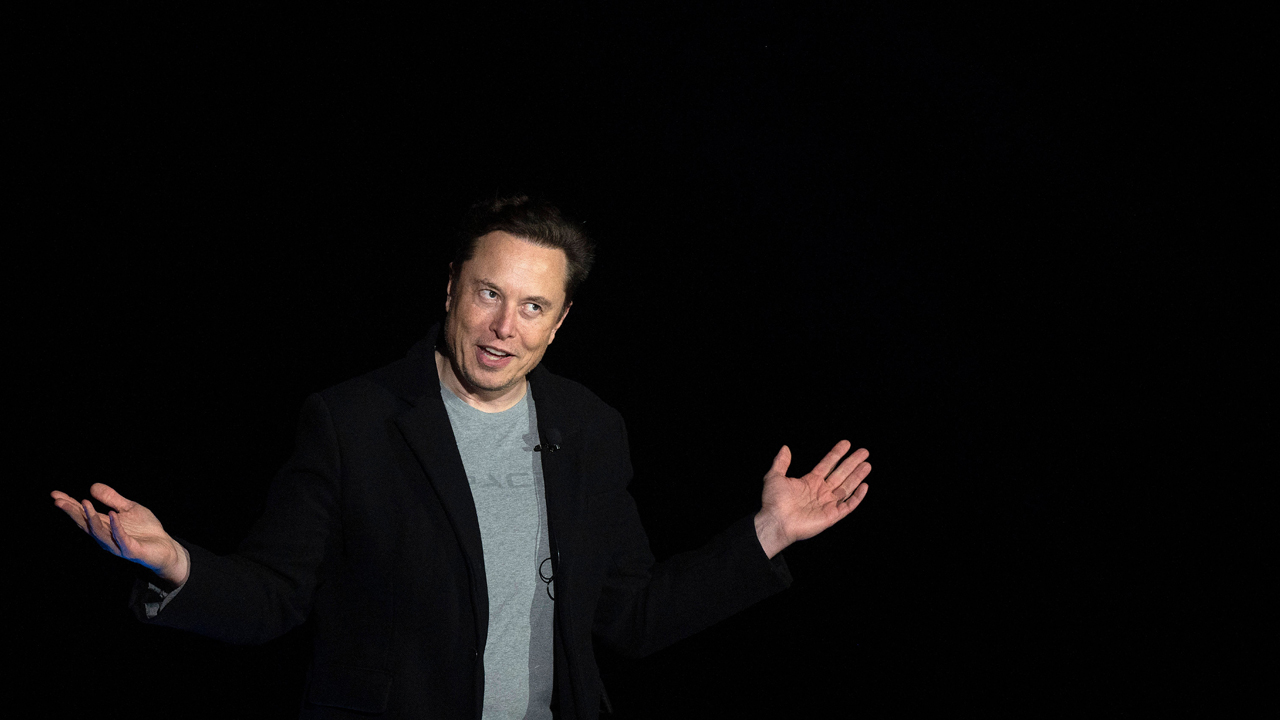 Elon Musk Cracks Down on Impersonation Accounts After Kathy Griffin, Other Blue Checks Change Profiles To Mock Him (mediaite.com)