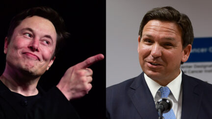 Elon Musk says he's leaning toward Ron DeSantis