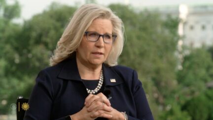 Liz Cheney