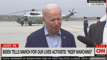 Joe Biden Says 'Gun Safety' Needs to Be an 'Election Issue'