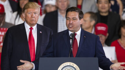 Trump Working 'Overtime' to 'Burn DeSantis Down': Report
