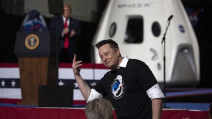 Elon Musk with Donald Trump in the background