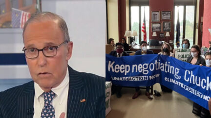 Larry Kudlow Ripes 'Radical Greenies' Arrested at Chuck Schumer's Office
