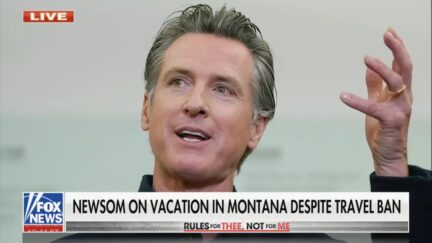 Fox News story on Gavin Newsom traveling to Montana