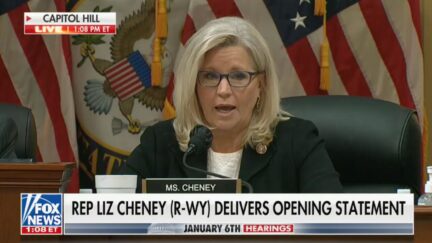 Liz Cheney