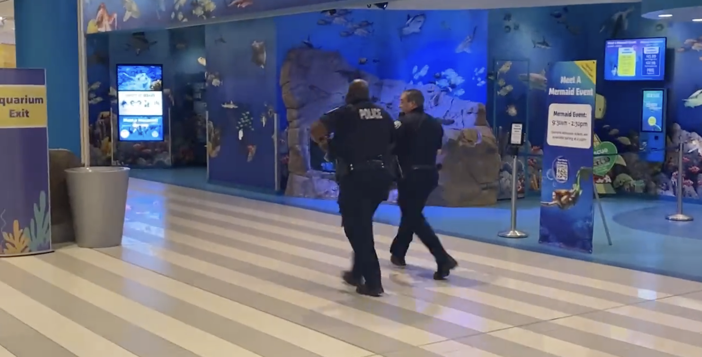 JUST IN: Social Media Users Circulate Video of Apparent Shooting at the Mall of America