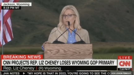 Liz Cheney Says She Could Have 'Easily' Won Primary