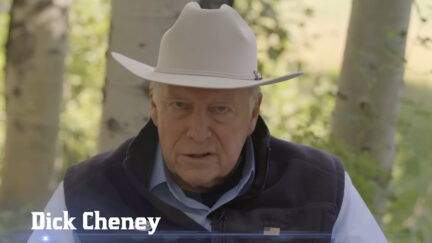Liz Cheney Buys Fox News Ad Time for Anti-Trump Promos