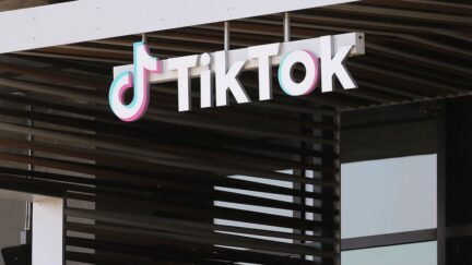 TikTok Details Fight Against 'Election Misinformation'
