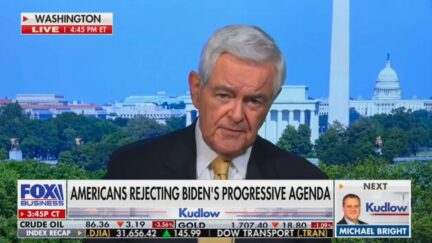 Newt Gingrich on Fox Business