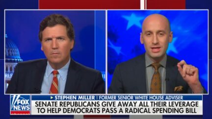 Stephen Miller rips Mitch McConnell