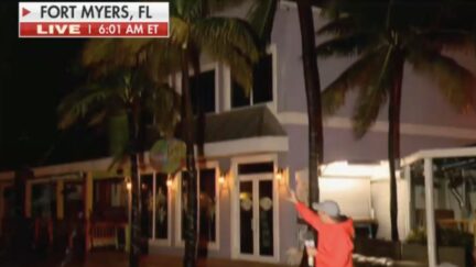 Fox Weather Reporter Comically Points to Gently Swaying Palm Trees to Highlight Threat of Hurricane Ian