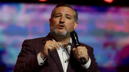 Ted Cruz Dismisses Republicans Claiming They 'Don't Care' What Trump Thinks