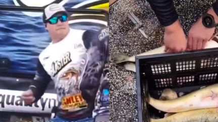 ‘You Should Be In Jail!’: Fishing Competition Gets Absolutely Bonkers When Winners Caught Cheating In Bizarre Way (mediaite.com)
