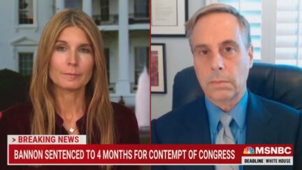 Harry Litman calls Steve Bannon a jackass