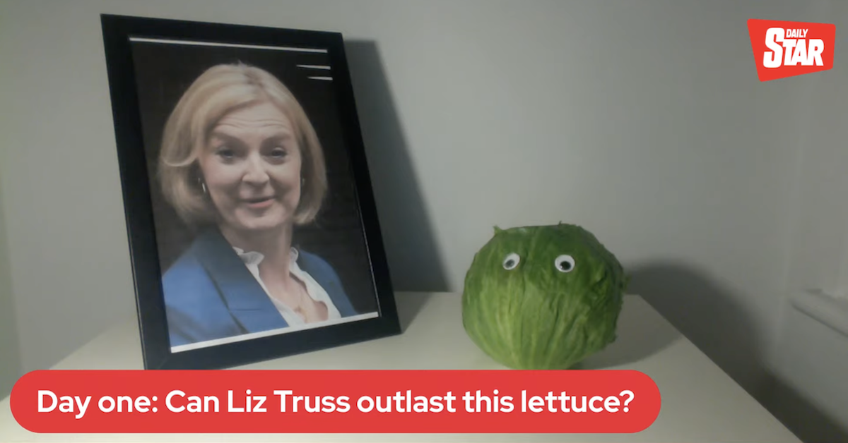 UK Paper Has a Livestream Betting on Whether New Prime Minister Will Outlast Head of Lettuce With Googly Eyes (mediaite.com)