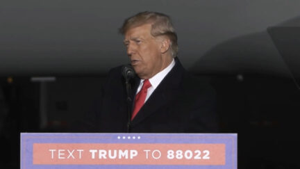 'She Impeached Me Twice for Nothing!' Trump Calls Nancy Pelosi an 'Animal'