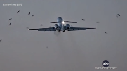Watch: Plane Carrying High-Ranking Military Official Forced to Land After Striking Birds on Takeoff