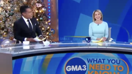 WATCH: ABC's Amy Robach and T.J. Holmes Return to Air Together Amid News of Their Alleged Affair