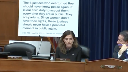 GOP Congresswoman Throws Progressive Activist’s Own Tweets At Her During Hearing on Extreme Political Rhetoric