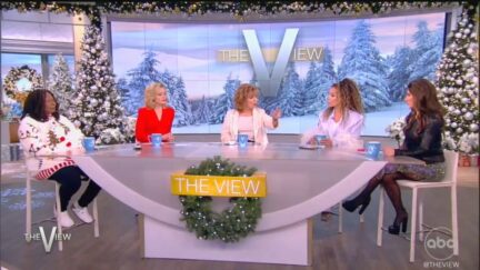 'The View' debating Harry and Meghan doing Netflix documentary