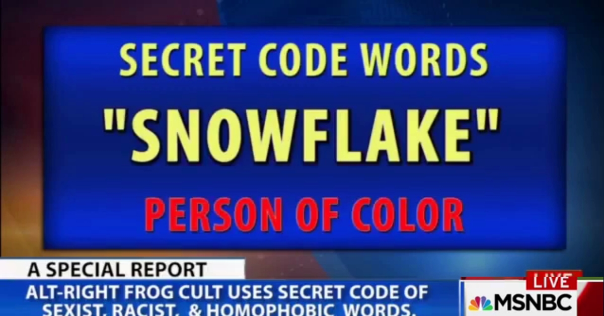 1 WATCH Conservatives Fall For 5-Year-Old Hoax MSNBC Clip On Bigoted 'Code Words' — Here's The Real Clip