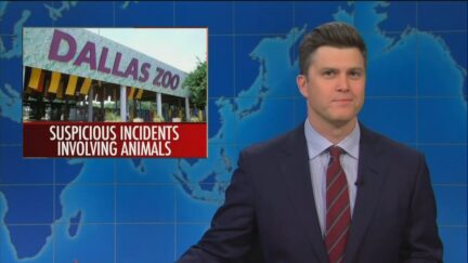 SNL’s Weekend Update Roasts Trump's Facebook Reinstatement, RNC Election, World's Oldest Living Dog